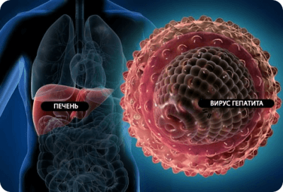 Лечение гепатитов А, Б, Ц, Д